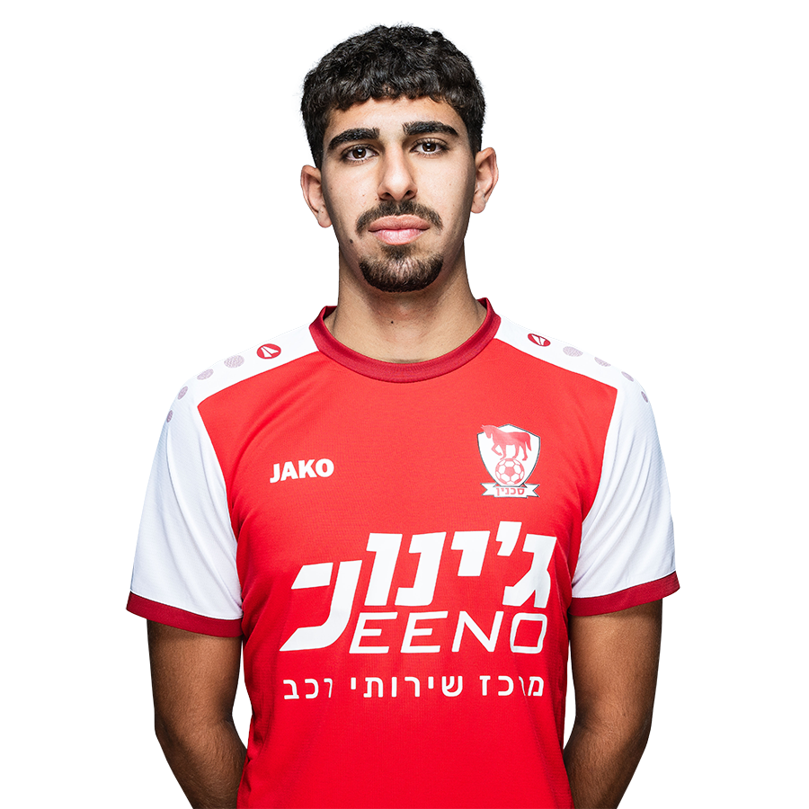 علي غنامة